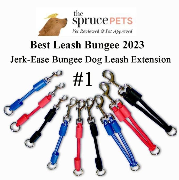 The Spruce Pets voted the Jerk-Ease Best Leash Bungee 2023 number one