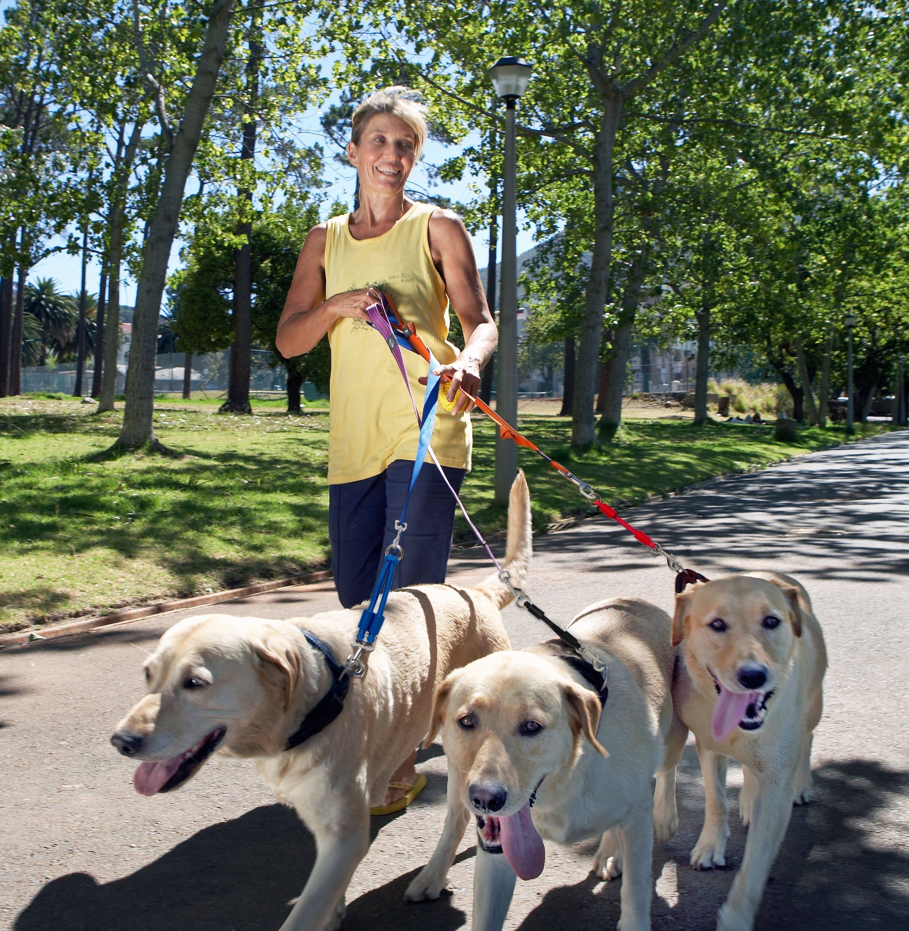Jerk Ease Elastic Leash Extension